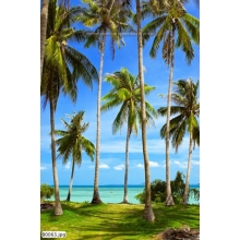 Tranh Bãi Biển - B0063