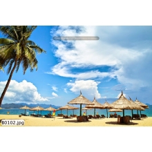Tranh Bãi Biển - B00102