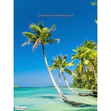 Tranh Bãi Biển - B00103
