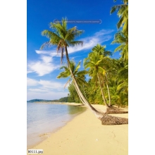 Tranh Bãi Biển - B00111