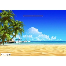 Tranh Bãi Biển - B00117