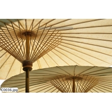 Tranh Cổ Điển - C0036