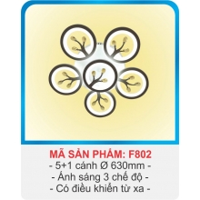 ĐÈN MÂM ỐP TRẦN - F802.5C+1