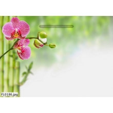 Tranh Hoa Lá - FL0186