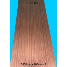 Tấm Nhựa Nano Ốp Tường HL-OT-023