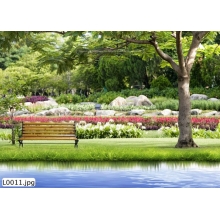 Tranh Phong Cảnh_L0011