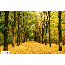 Tranh Phong Cảnh_L0013