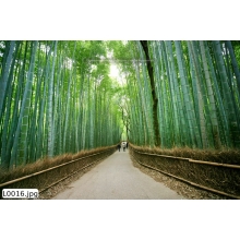 Tranh Phong Cảnh_L0016