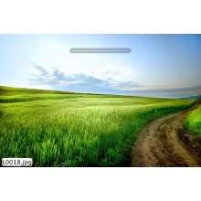 Tranh Phong Cảnh_L0018
