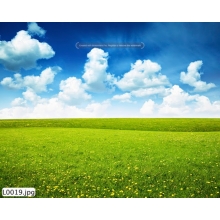 Tranh Phong Cảnh_L0019
