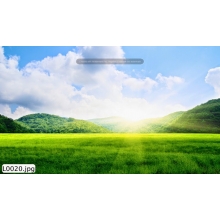 Tranh Phong Cảnh_L0020