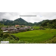 Tranh Núi Hổ_M0020