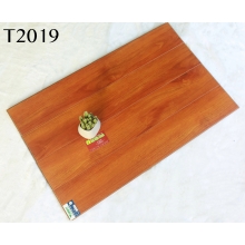 Sàn gỗ Wittex (8mm) : T2019